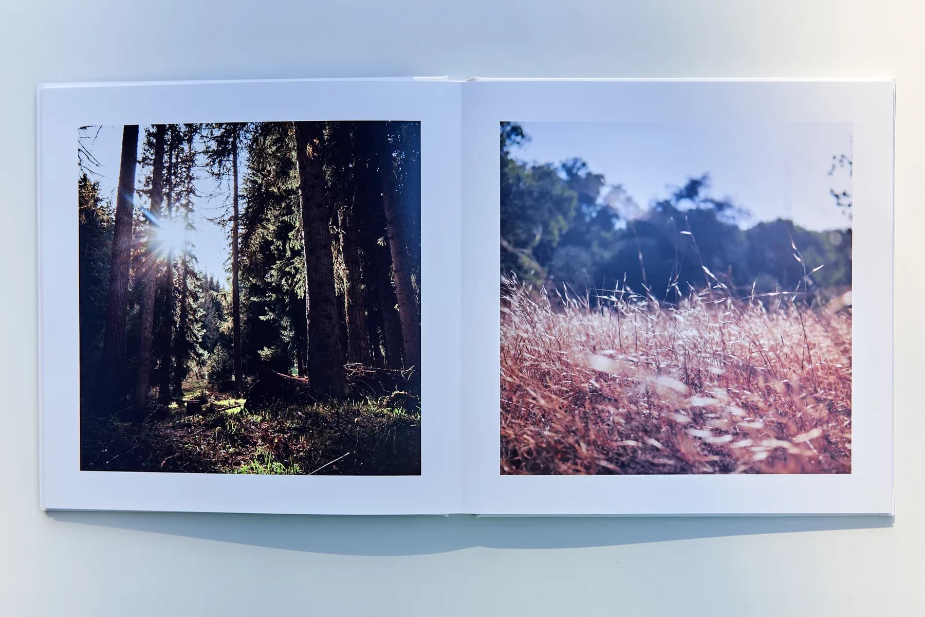 A MakeAlbum spread lying flat with two photographs